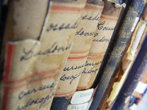 biblioteca 001 copy.jpg